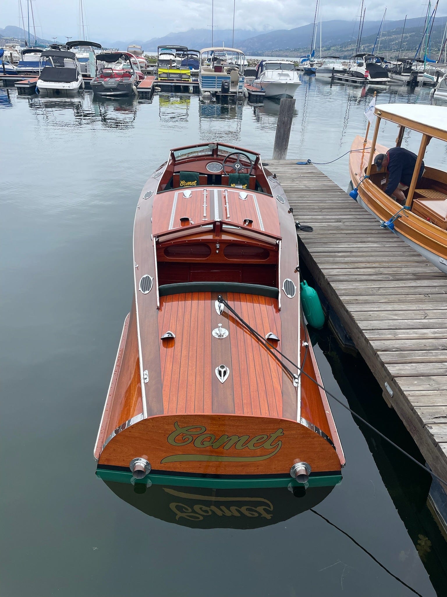 2025 25' Reproduction Comet