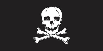 Flying Colours Nylon Jolly Roger Flag: 10" x 15"
