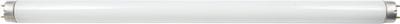 Ancor Fluorescent Tube