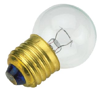 Medium Screw Base Light Bulb