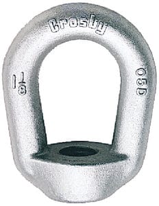 Crosby Galvanized Eye Nut: 5/8" UNC