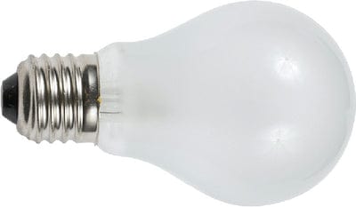 Ancor Light Bulb: Medium Screw Standard Base (2 Per Pack)